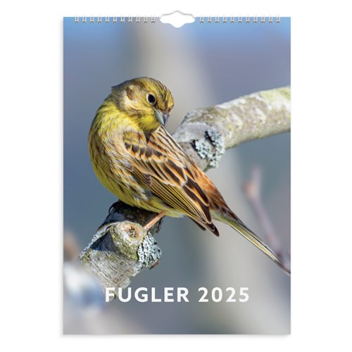 Veggkalender GRIEG 2025 Fugler