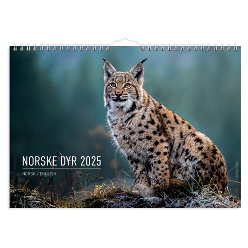 Veggkalender GRIEG 2025 Norske dyr