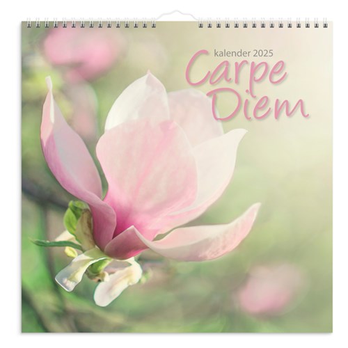 Billedkalender GRIEG 2025 Carpe Diem